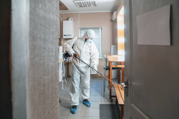 Best Mold Damage Restoration  in Wayne Heights, PA