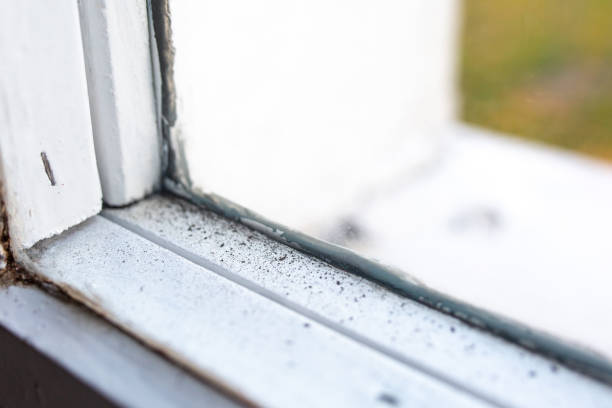 Best Mold Removal for HVAC Installations  in Wayne Heights, PA