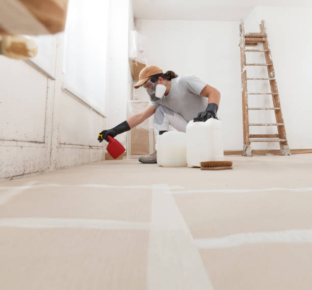 Mold Remediation for Rental Properties in Wayne Heights, PA